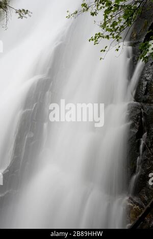 Dettaglio della scentratura primaverile nelle cascate inferiori del Bells Canyon. Foto Stock