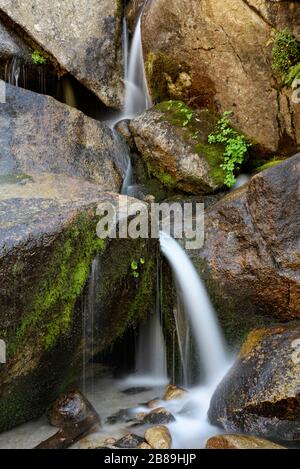 Dettaglio dell'acqua che scorre tra le rocce nel Bells Canyon, Wasatch Mtns. Foto Stock
