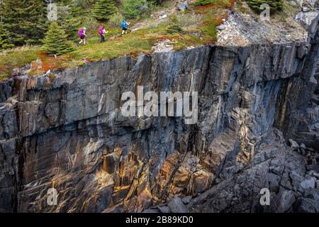 Tre Backpackers a piedi lungo Cliff Edge sulla East Coast Trail Foto Stock