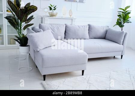 un divano grigio e vasi da fiori si trovano nel mezzo di una stanza elegante Foto Stock