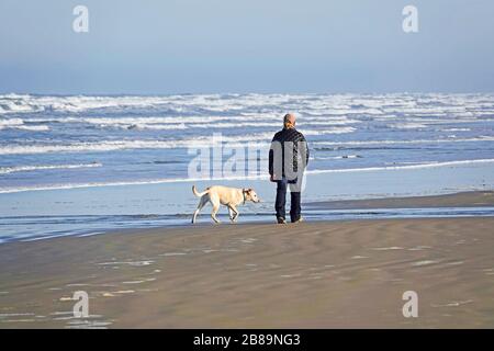 Una donna che cammina il suo cane lungo un tratto di spiaggia vuota sulla costa dell'Oregon Pacifico vicino alla città di Yachats, Oregon. Foto Stock