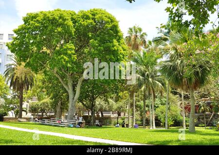 Victoria Park natura nella città di Hamilton, Bermuda. Parco costruito nel 1880 in celebrazione del Giubileo d'Oro della Regina Vittoria. Foto Stock