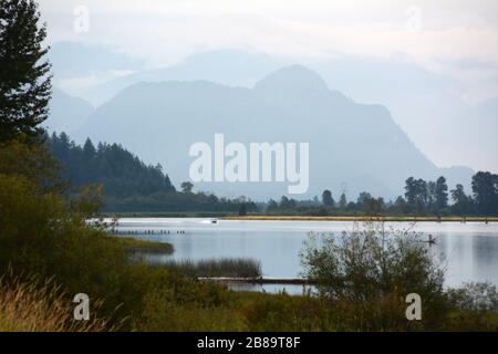 La foresta e le zone umide del fiume Pitt, e le montagne della costa sullo sfondo, a Coquitlam, un sobborgo di Vancouver, British Columbia, Canada. Foto Stock