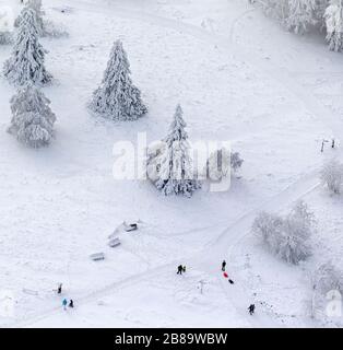 , persona con slittini in inverno sulla montagna Kahler Asten, 26.01.2013, vista aerea, Germania, Nord Reno-Westfalia, Sauerland, Winterberg Foto Stock