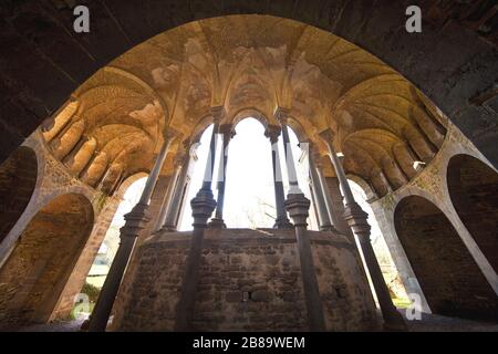 Rovine dell'Abbazia di Heisterbach, monastero cistercense nel Siebengebirge, Germania, Renania Settentrionale-Vestfalia, Renania, Koenigswinter Foto Stock