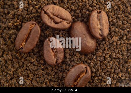 Un chicco di caffè è un seme della pianta di Coffea e la fonte per il caffè. È la buca all'interno della frutta rossa o porpora spesso indicata come ciliegia. Foto Stock