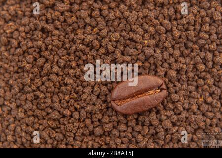 Un chicco di caffè è un seme della pianta di Coffea e la fonte per il caffè. È la buca all'interno della frutta rossa o porpora spesso indicata come ciliegia. Foto Stock