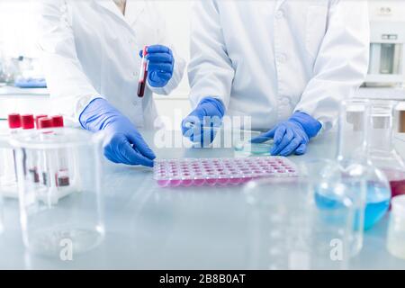 Le mani dei guanti di due scienziati contemporanei in whitecoats che testano il nuovo sanitizer o vaccino mentre stanno in piedi dalla scrivania in laboratorio Foto Stock