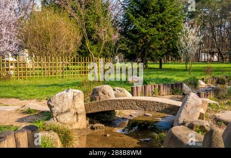 Giardino giapponese stagno in primavera. Bellissimo giardino giapponese con erba verde, alberi e un ponte di pietra. Foto Stock