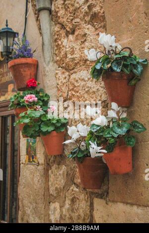 Ingresso casa con vasi di fiori a parete a Valldemossa, Maiorca, Spagna Foto Stock