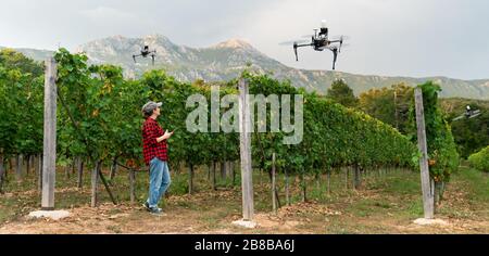 Donna coltivatore controlla drone irroratrice con un tablet. Agricoltura intelligente e agricoltura di precisione Foto Stock