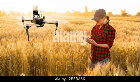 Donna coltivatore controlla drone irroratrice con un tablet. Agricoltura intelligente e agricoltura di precisione Foto Stock