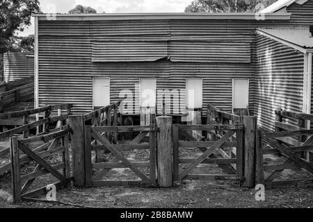 Old Farm Building, Burra, NSW Foto Stock