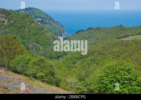 Vista da Summer House Hill attraverso Lyn Cleave verso la costa del Devon Nord in una giornata di primavera soleggiata. Parte del Parco Nazionale di Exmoor, Inghilterra, Regno Unito Foto Stock