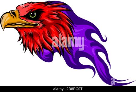 Vector aquila calva o Hawk testa grafica mascotte Illustrazione Vettoriale