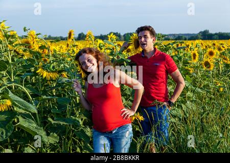 Una donna incinta e suo marito sono in posa per un fotografo nel campo con un sacco di girasoli in un giorno di sole.incinta foto di famiglia in natu Foto Stock