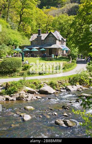 Una vista primaverile della casa e dei tearooms al Watersmeet National Trusts nel Parco Nazionale di Exmoor nel Devon del Nord, Inghilterra, Regno Unito. Foto Stock