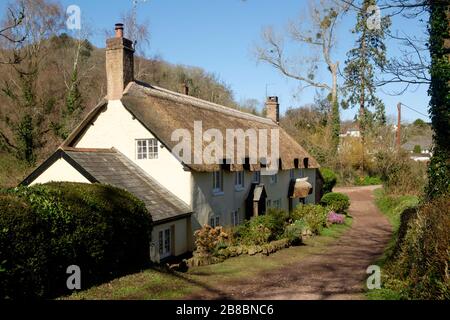 Dunster un piccolo villaggio pittoresco su Exmoor nel nord somerset Regno Unito. Tradizionale cottage con tetto in paglia e vicolo. Foto Stock