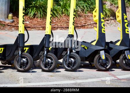 3/5/2020 Miami FL molteplici e scooters da Bolt, in un angolo di strada in un quartiere residenziale alla moda Foto Stock