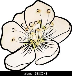 Fiore di mele. Schema di contorno Illustrazione Vettoriale