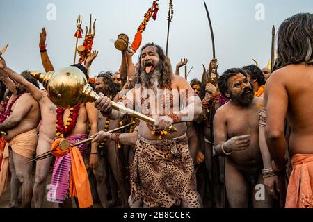 In India, ad Allahabad, la naga sadhu, la più importante nella sfilata gerarchica indù in processione, per immergersi nel Gange. Foto Stock