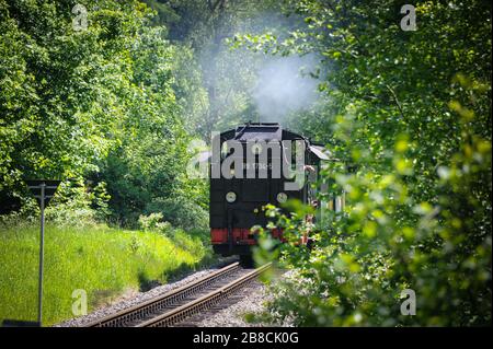 Allenati con un motore a vapore che attraversa una foresta in una giornata di sole Foto Stock