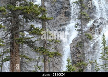Cascate Di Tangle Creek Nel Jasper National Park, Alberta, Canada. Foto Stock