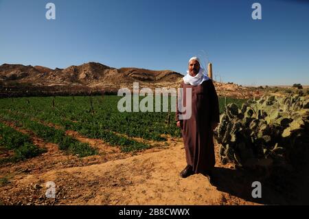 07 febbraio 2020, Tunisia, El-Khol: Gli abitanti del villaggio di El-Khol nella Tunisia centrale prelevano acqua da un pozzo. Il paese nordafricano lotta contro la povertà idrica. La Giornata dell'acqua ha lo scopo di attirare l'attenzione sulla crescente carenza di acqua e sulla diminuzione della qualità dell'acqua potabile. (Al dpa: 'Pregare per la pioggia - in Nord Africa la preoccupazione per l'acqua è parte della vita quotidiana') Foto: Simon Kremer/dpa Foto Stock