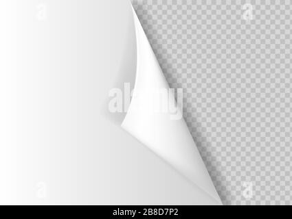 Angolo arricciato con ombra su sfondo trasparente realistico . Illustrazione Vettoriale