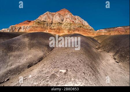 Badlands paesaggio della Foresta pietrificata vicino a Sarmiento, Patagonia / Argentina Foto Stock