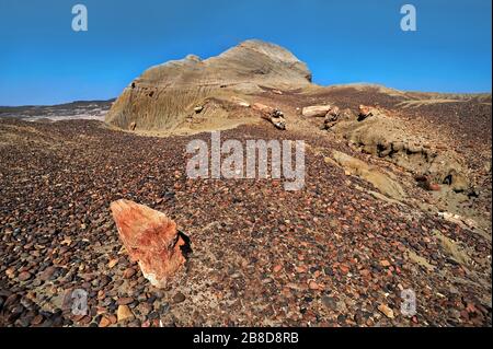 La Foresta pietrificata nei pressi di Sarmiento, Patagonia/Argentina. Tronchi di albero e trucioli di legno sono sparsi tutto intorno Foto Stock
