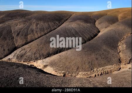 Badlands paesaggio della Foresta pietrificata vicino a Sarmiento, Patagonia / Argentina Foto Stock