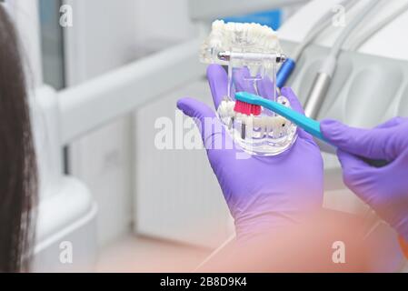 Dentista che mostra al paziente il modo corretto di pulire i denti Foto Stock