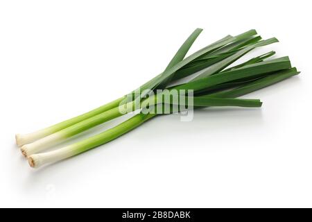 aglio verde fresco, cucina cinese sichuan ingredienti isolati su sfondo bianco Foto Stock