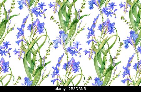 Motivo senza giunture acquerello. Fiori blu in fiore. Colorato design floreale tropicale isolato su bianco. Illustrazione floreale botanica per l'imballaggio Foto Stock