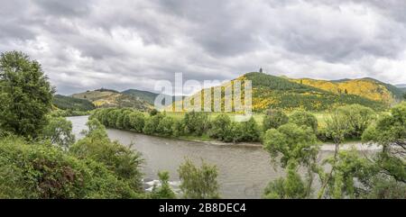 Paesaggio con il fiume Motueka in una valle verde con arbusti di ginestra fioriti, sparato in luce nuvolosa di primavera vicino a Tapawera, Tasman, South Island, New Foto Stock