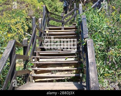 Scala in legno, sentiero nella natura selvaggia dell'Algarve in Portogallo Foto Stock