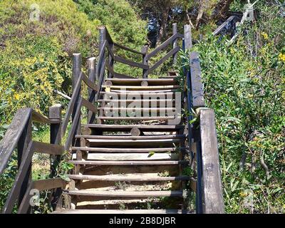 Scala in legno, sentiero nella natura selvaggia dell'Algarve in Portogallo Foto Stock