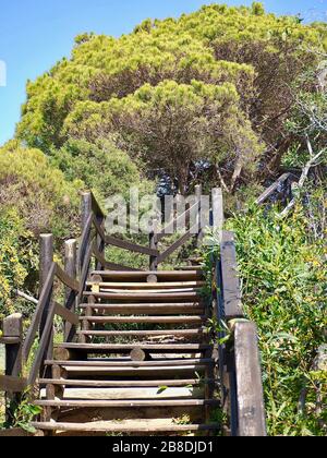 Scala in legno, sentiero nella natura selvaggia dell'Algarve in Portogallo Foto Stock