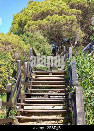 Scala in legno, sentiero nella natura selvaggia dell'Algarve in Portogallo Foto Stock