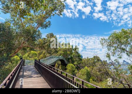 Lotterywest Federation Walkway guardando verso il Central Business District, King's Park Botanic Garden, Perth, Australia Occidentale, Australia Foto Stock