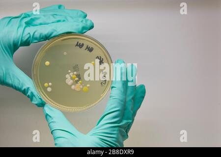 Fotografo di interni di Bristol, fotografo commerciale Bristol Foto Stock