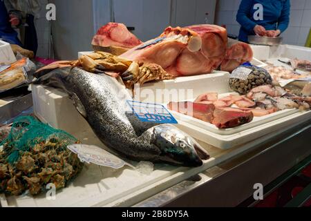 Salmone, tonno e vari frutti di mare esposti sul mercato del pesce Foto Stock