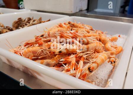 Mucchio di scampi sul mercato del pesce in mostra ghiacciata Foto Stock