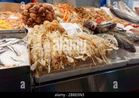 Gamberi Mantis e pesce in mostra sul mercato Foto Stock