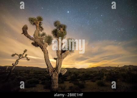 Stati Uniti, California, Contea di San Bernadino, Joshua Tree National Park. Le stelle nel cielo notturno si alzano mentre il sole tramonta dietro le montagne creando uno stri Foto Stock