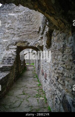 Antico rovinato S. Brigitta convento di Pirita regione, Tallinn, Estonia Foto Stock