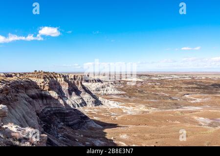 Deserto dipinto e legno pietrificato nel Parco Nazionale della Foresta pietrificata in Arizona Foto Stock