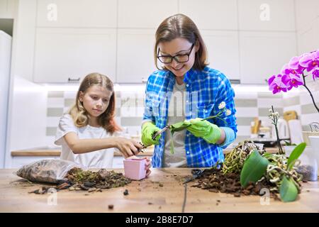 Madre e figlia bambino insieme in cucina piantando piante di orchidee Phalaenopsis in pentole Foto Stock