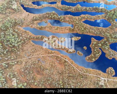 Grande palude in Lettonia. Riprese aeree dal drone. Il Great Kemeri Bog Boardwalk è una popolare destinazione turistica nel Parco Nazionale di Kemeri. Foto Stock